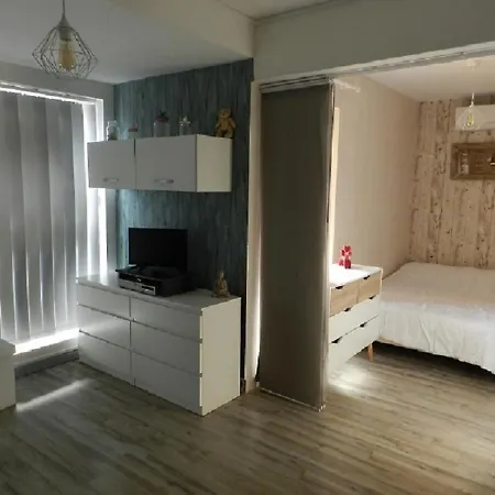 Charmant Studio La Tuilerie Apartment *